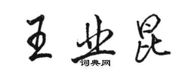 駱恆光王業昆行書個性簽名怎么寫