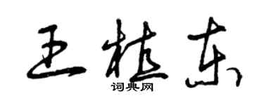 曾慶福王植東草書個性簽名怎么寫