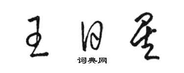 駱恆光王日星草書個性簽名怎么寫