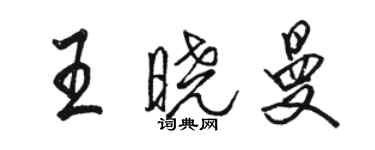 駱恆光王曉曼行書個性簽名怎么寫