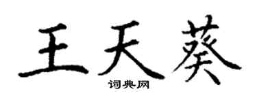 丁謙王天葵楷書個性簽名怎么寫