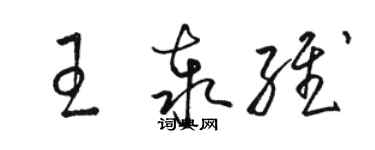 駱恆光王泰維草書個性簽名怎么寫