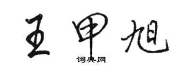 駱恆光王甲旭行書個性簽名怎么寫