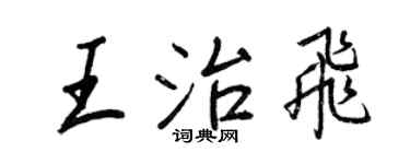 王正良王治飛行書個性簽名怎么寫