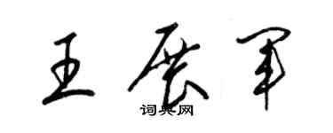 梁錦英王展軍草書個性簽名怎么寫