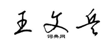 梁錦英王文兵草書個性簽名怎么寫