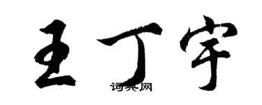 胡問遂王丁宇行書個性簽名怎么寫