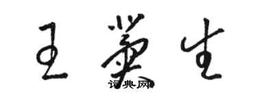 駱恆光王冀生草書個性簽名怎么寫