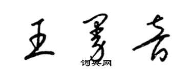 梁錦英王曼音草書個性簽名怎么寫