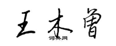 王正良王木曾行書個性簽名怎么寫