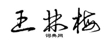 曾慶福王林梅草書個性簽名怎么寫