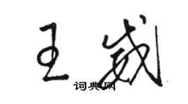 駱恆光王威草書個性簽名怎么寫