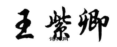 胡問遂王紫卿行書個性簽名怎么寫