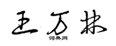 曾慶福王萬林草書個性簽名怎么寫
