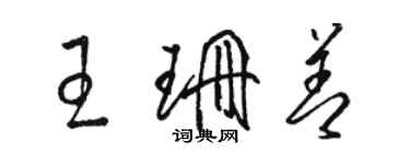 駱恆光王珊善草書個性簽名怎么寫