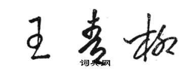 駱恆光王青柳草書個性簽名怎么寫