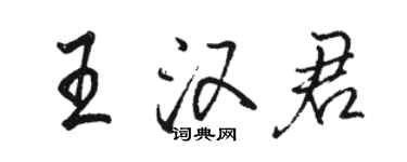 駱恆光王漢君行書個性簽名怎么寫