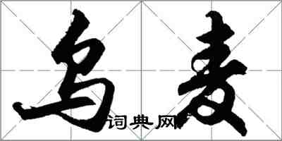 胡問遂烏麥行書怎么寫