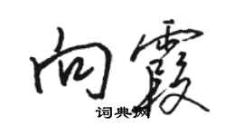 駱恆光向霞行書個性簽名怎么寫