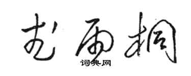 駱恆光武雨桐草書個性簽名怎么寫