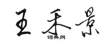 駱恆光王禾景行書個性簽名怎么寫