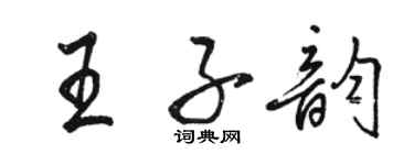 駱恆光王子韻行書個性簽名怎么寫