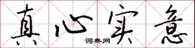 錢沛雲真心實意行書怎么寫
