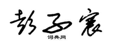 朱錫榮彭子宸草書個性簽名怎么寫