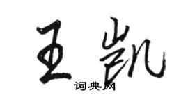 駱恆光王凱行書個性簽名怎么寫