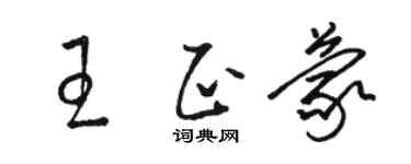 駱恆光王正蒙草書個性簽名怎么寫