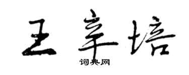 曾慶福王辛培行書個性簽名怎么寫