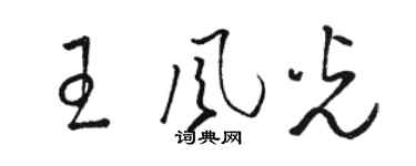 駱恆光王風光草書個性簽名怎么寫