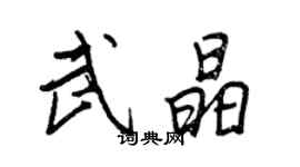 王正良武晶行書個性簽名怎么寫