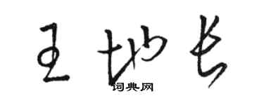 駱恆光王地長草書個性簽名怎么寫