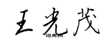 王正良王光茂行書個性簽名怎么寫