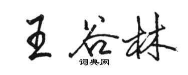 駱恆光王谷林行書個性簽名怎么寫