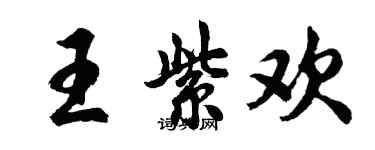 胡問遂王紫歡行書個性簽名怎么寫