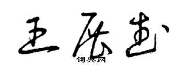 曾慶福王展武草書個性簽名怎么寫