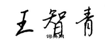 王正良王智青行書個性簽名怎么寫
