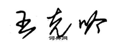 朱錫榮王克吟草書個性簽名怎么寫