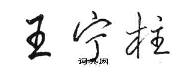 駱恆光王寧柱行書個性簽名怎么寫