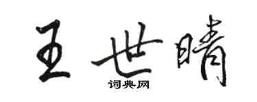駱恆光王世晴行書個性簽名怎么寫