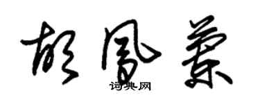 朱錫榮胡鳳蘭草書個性簽名怎么寫