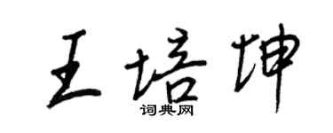 王正良王培坤行書個性簽名怎么寫