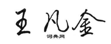 駱恆光王凡金行書個性簽名怎么寫