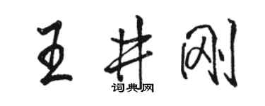 駱恆光王井剛行書個性簽名怎么寫