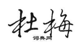 駱恆光杜梅行書個性簽名怎么寫