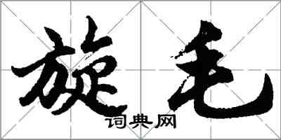 胡問遂旋毛行書怎么寫