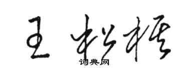 駱恆光王松棋草書個性簽名怎么寫