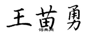 丁謙王苗勇楷書個性簽名怎么寫